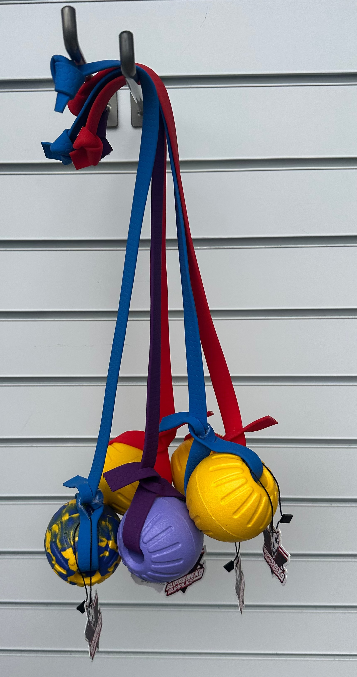 BioChaser Foam Ball 2.75”