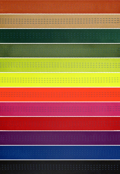 The 1 inch Ultimate Soft Leash – Built for Performance