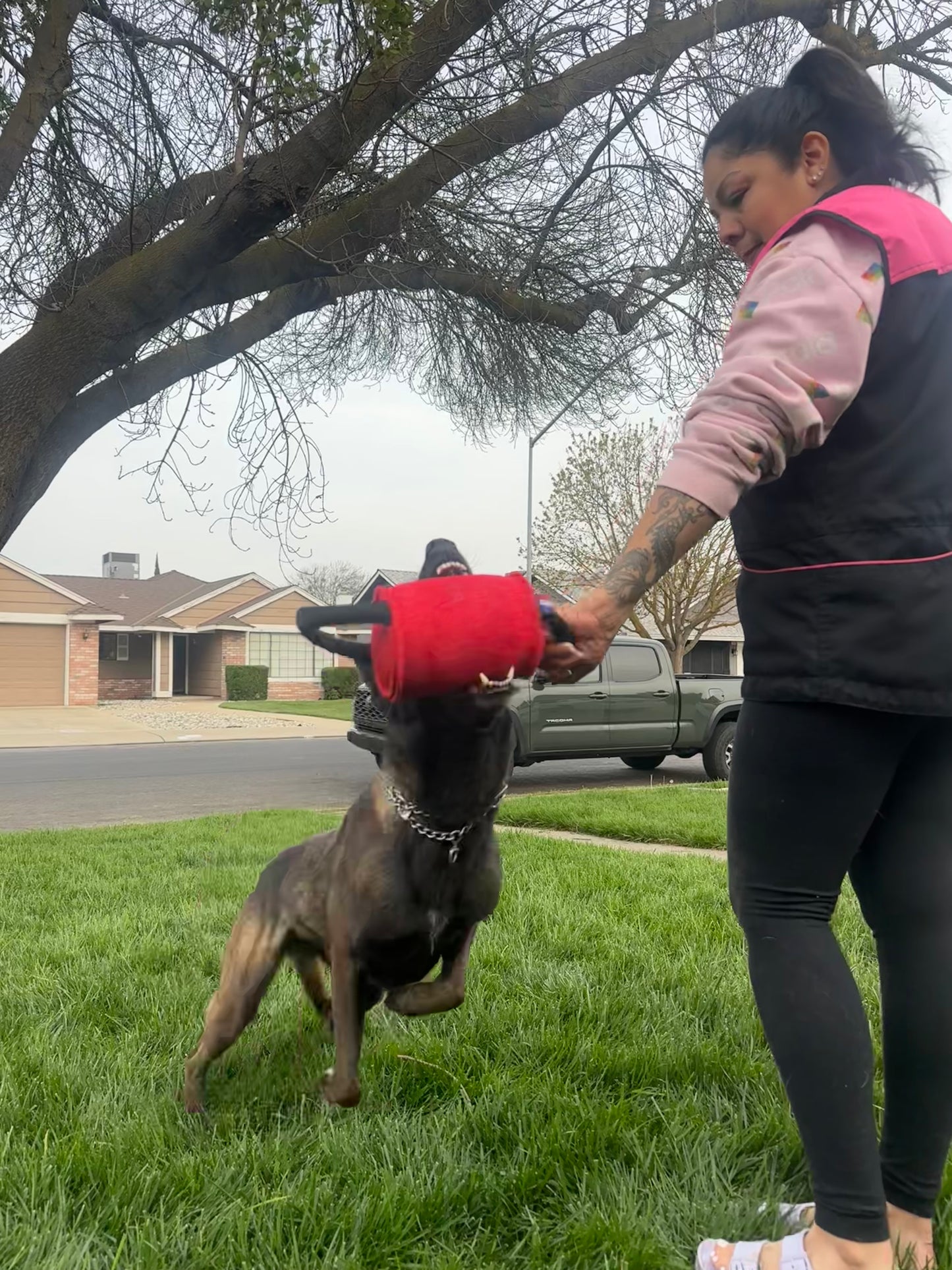 Medium cylinder/barrel roll Pillow Tug with 2 Tubular Handles